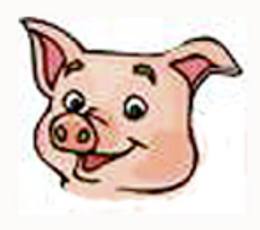 PigFaceIcon.jpg