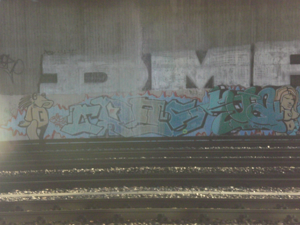 CIMG4088.JPG