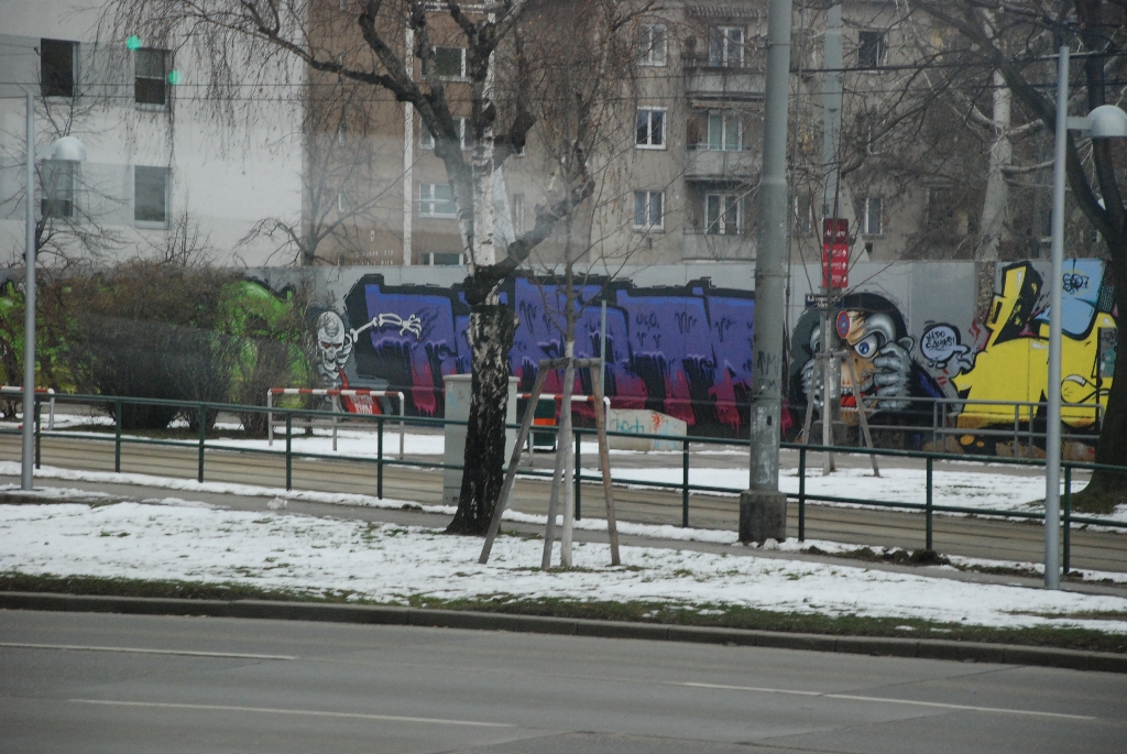 DSC_0049.JPG