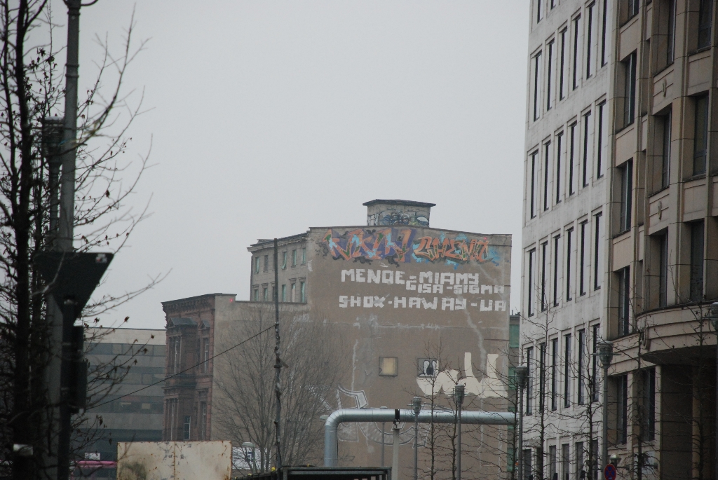 DSC_0136.JPG