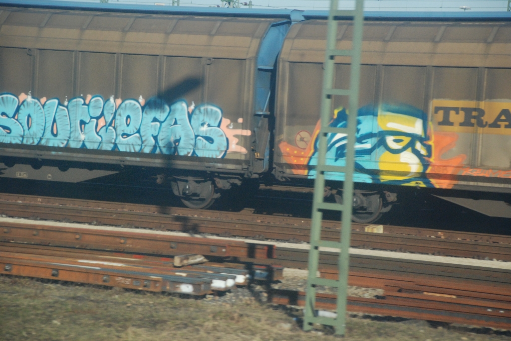 DSC_0264.JPG