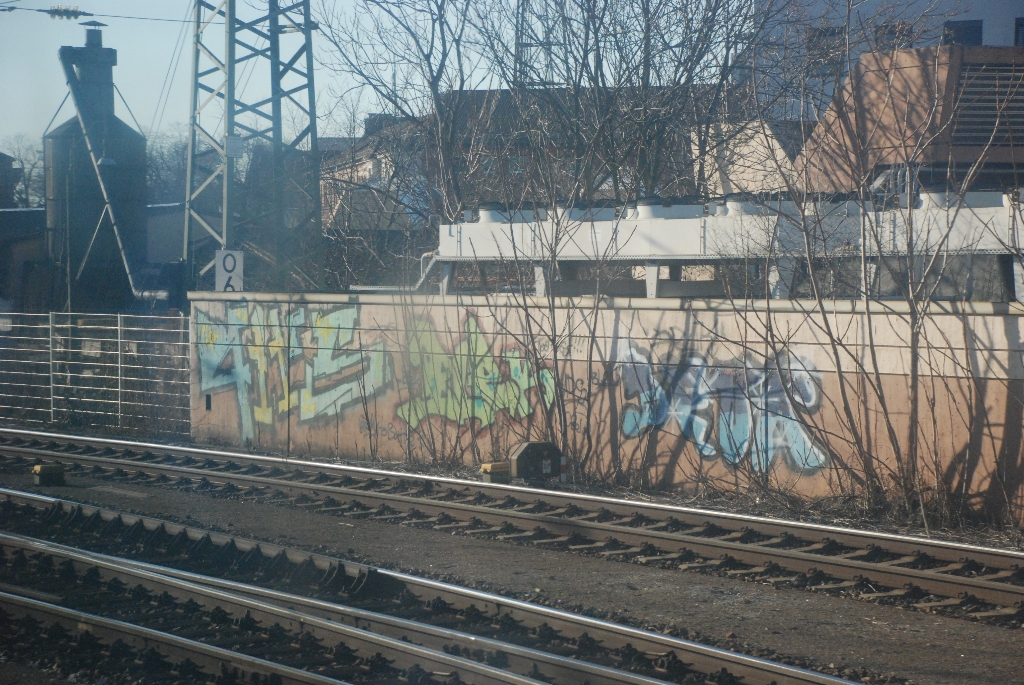 DSC_0266.JPG