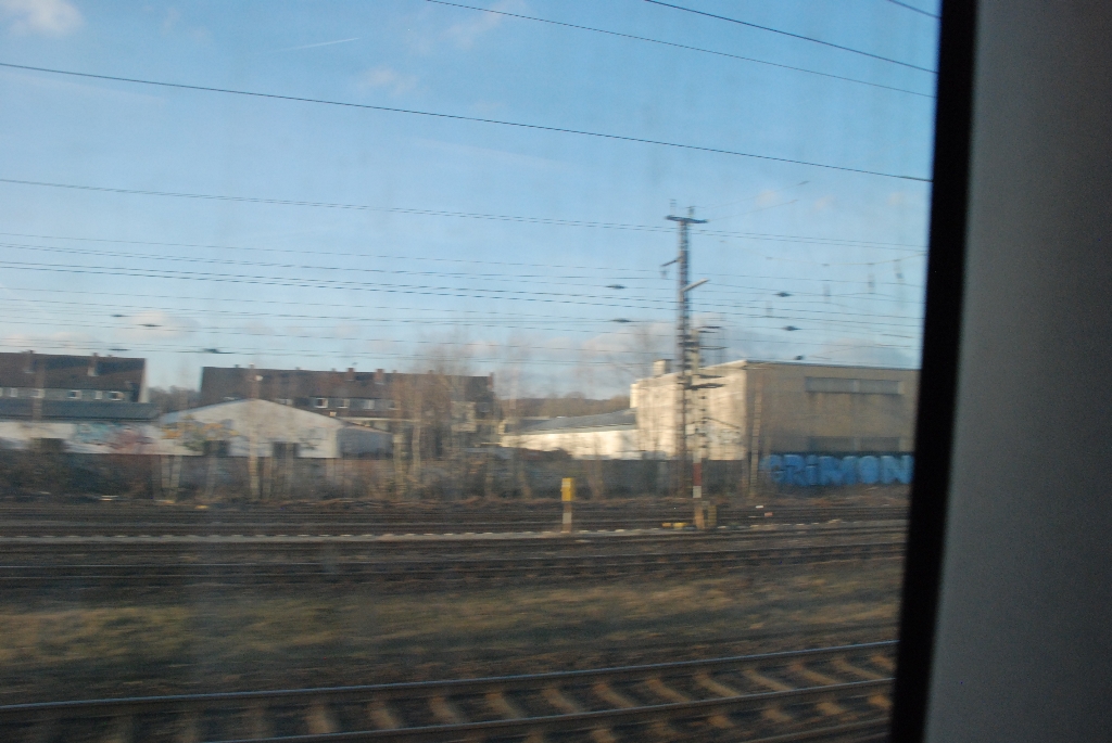 DSC_0293.JPG