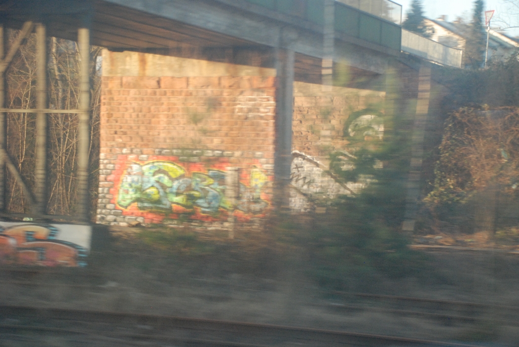 DSC_0295.JPG