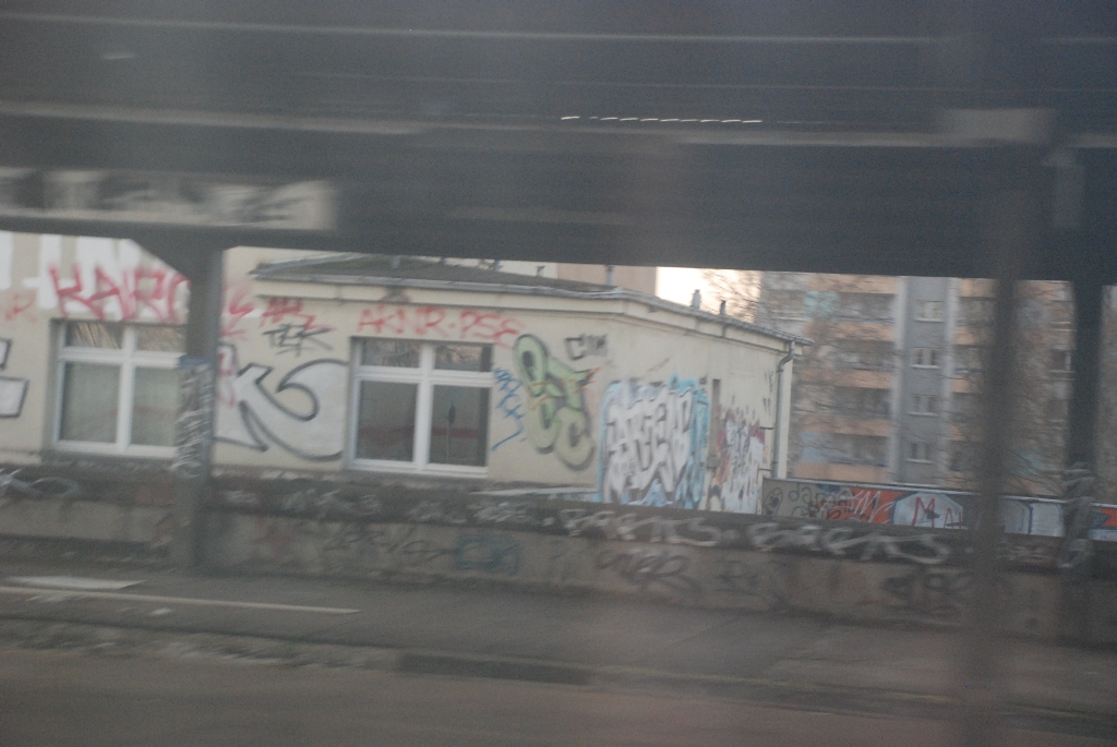 DSC_0299.JPG