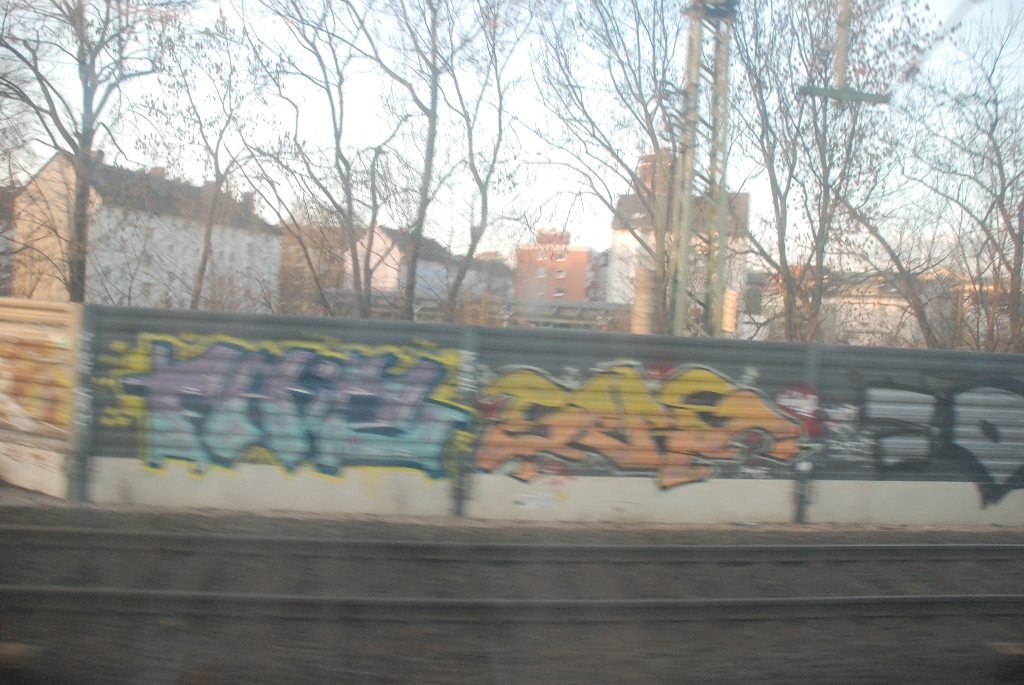DSC_0311.JPG