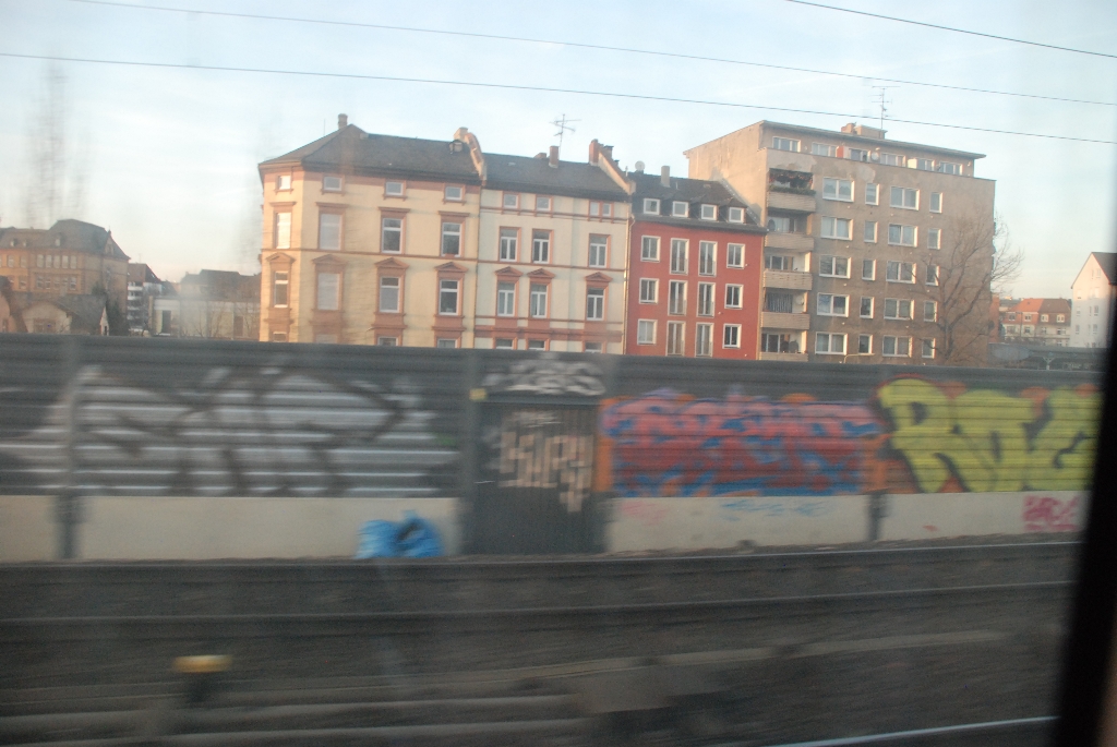 DSC_0312.JPG