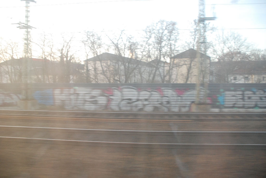 DSC_0316.JPG