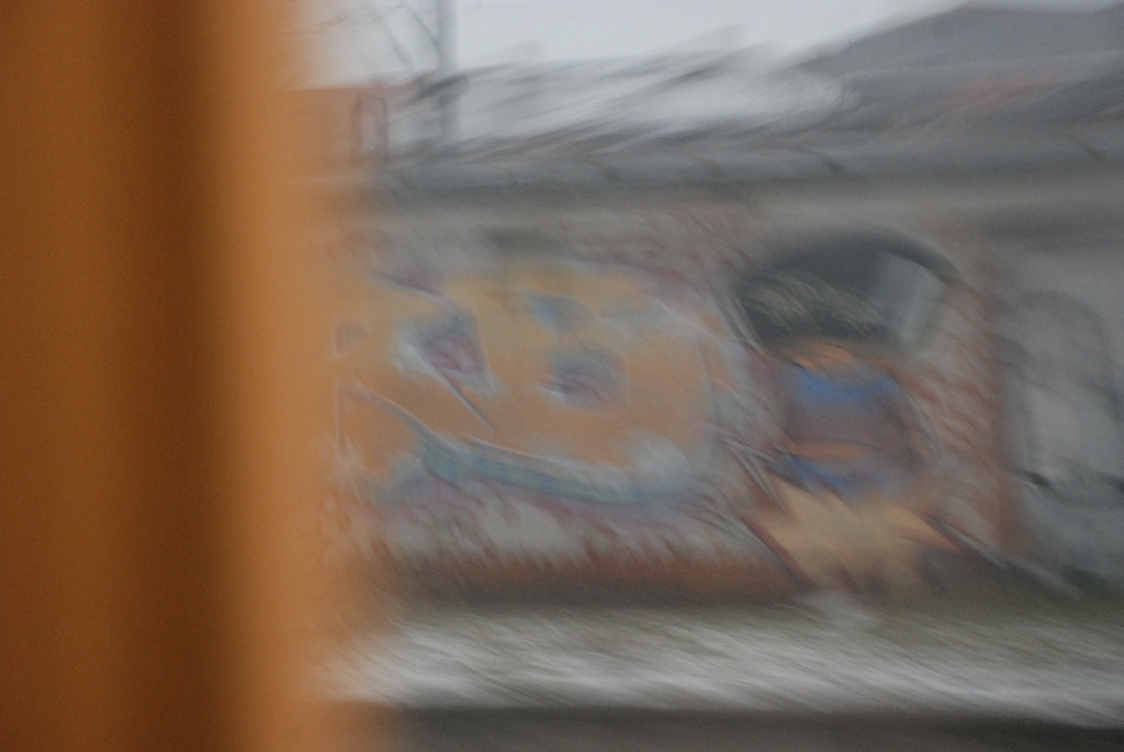 DSC_0340.JPG