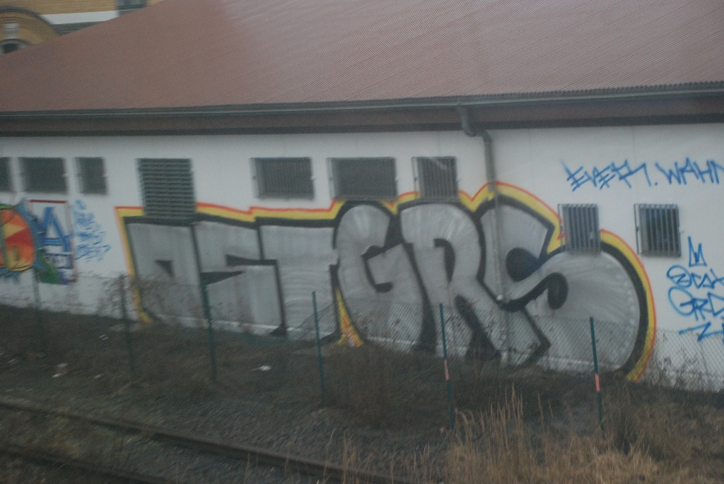 DSC_0365.JPG