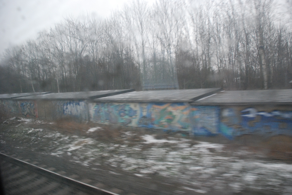 DSC_0391.JPG