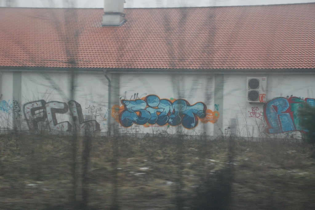 DSC_0395.JPG