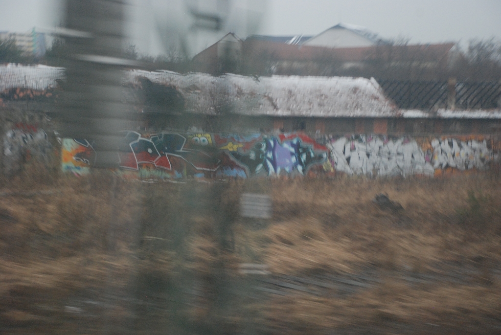 DSC_0398.JPG