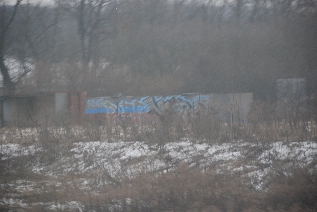DSC_0400.JPG