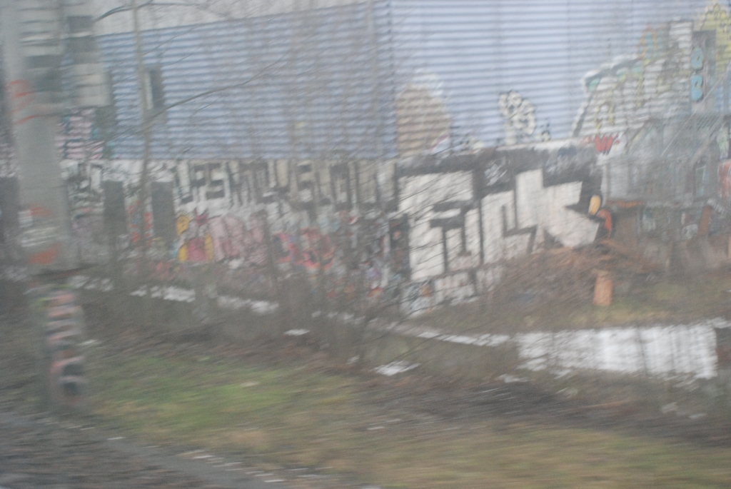 DSC_0417.JPG