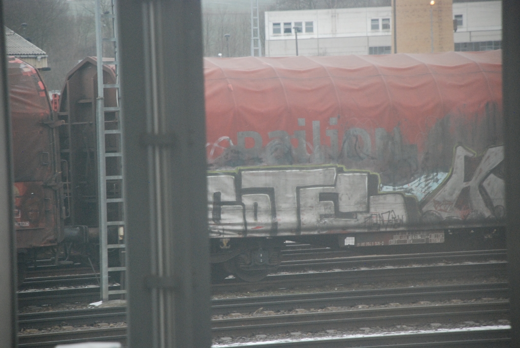 DSC_0424.JPG