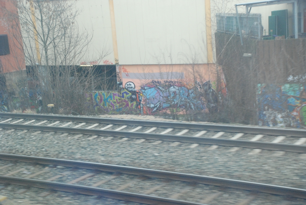 DSC_0448.JPG