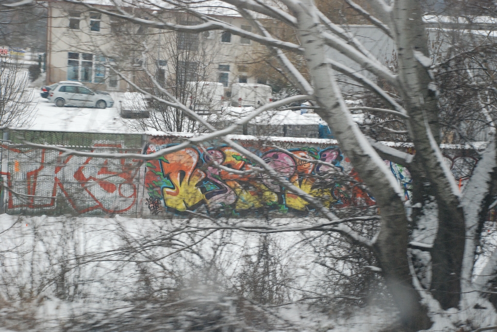 DSC_0621.JPG