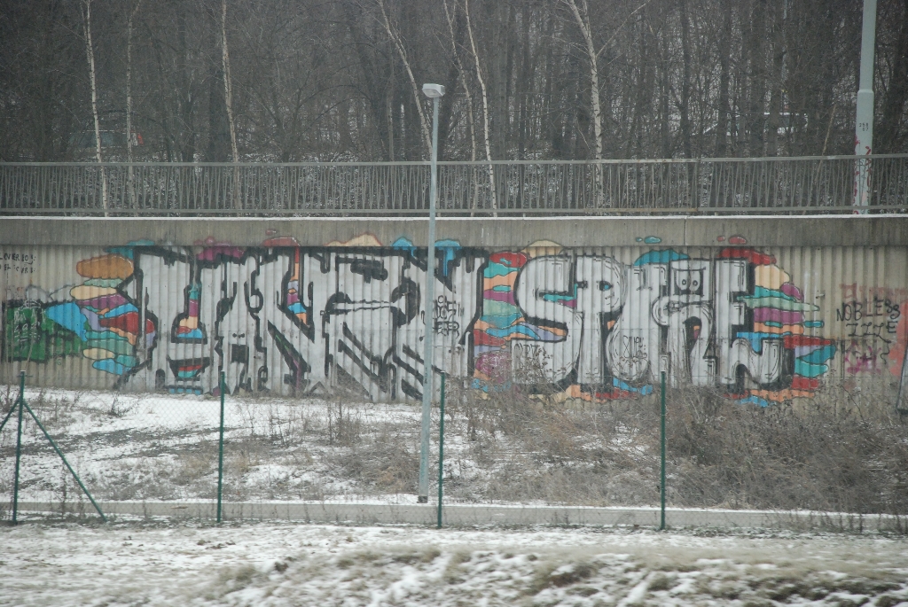 DSC_0689.JPG