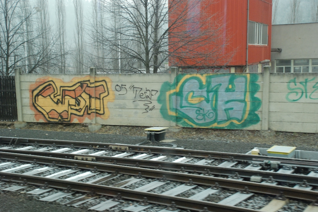 DSC_0703.JPG