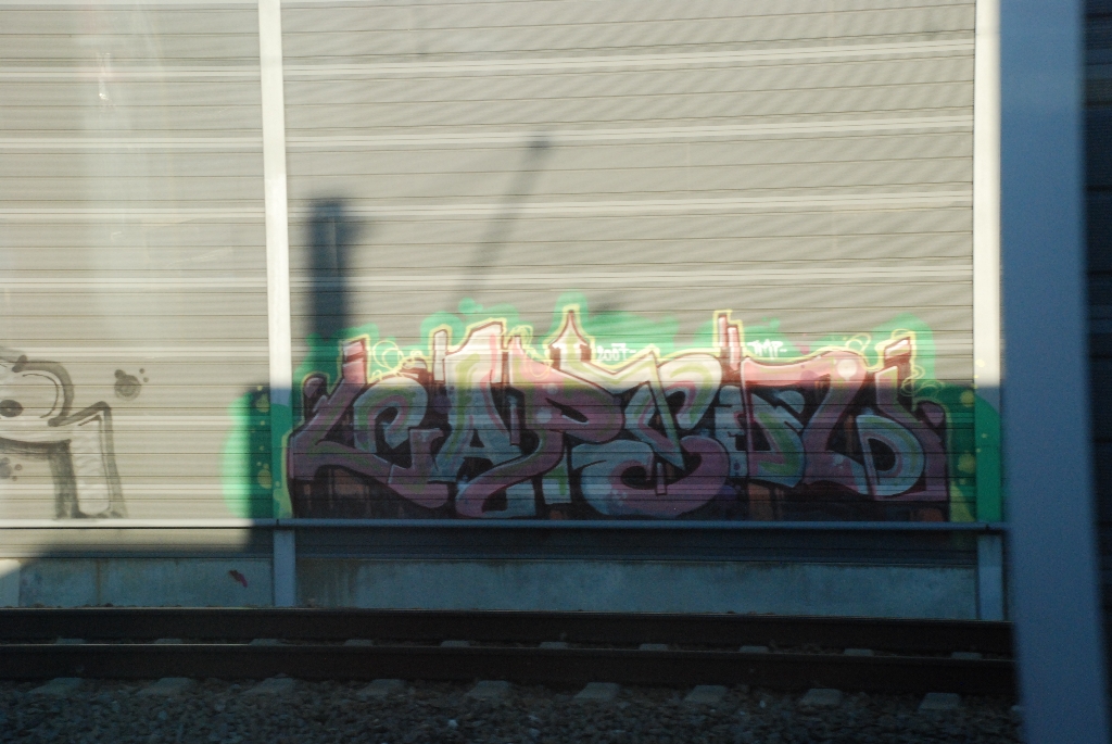 DSC_0708.JPG
