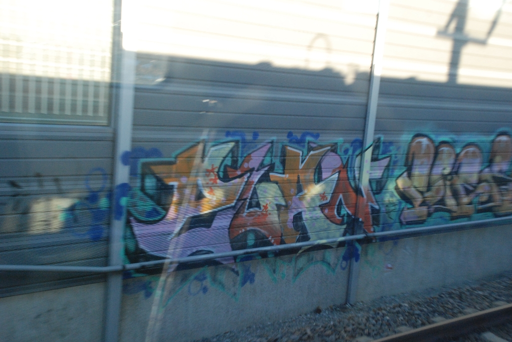 DSC_0711.JPG