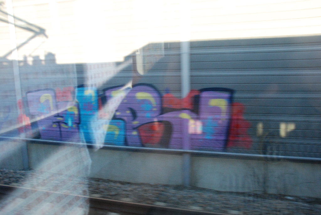DSC_0712.JPG