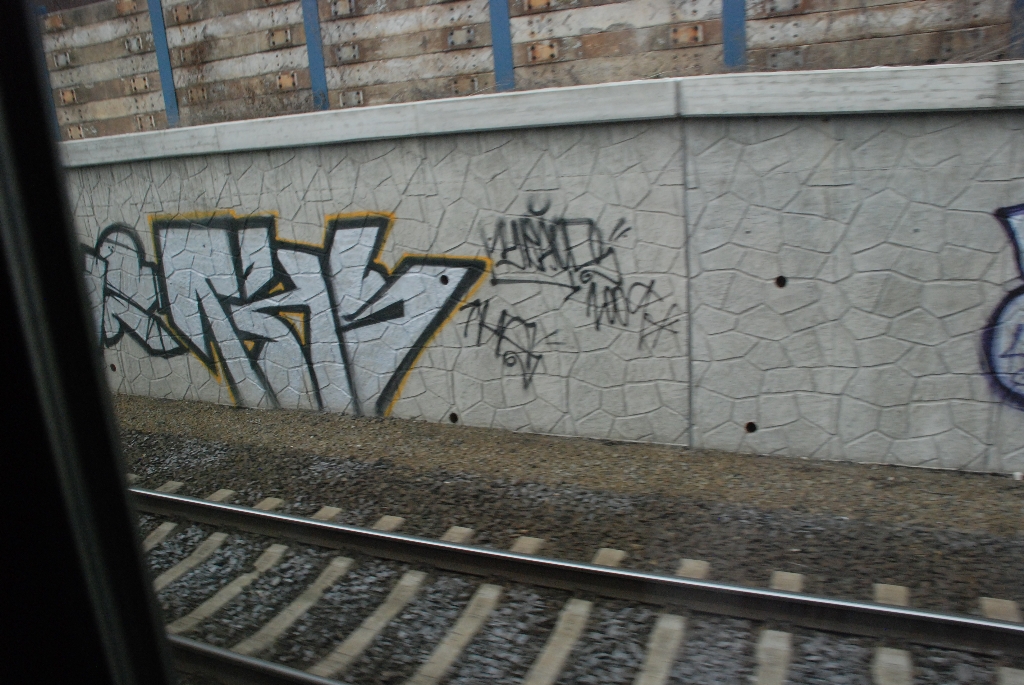 DSC_0713.JPG