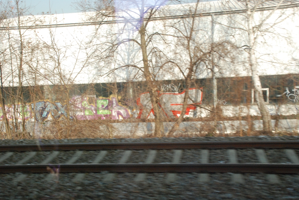 DSC_0721.JPG