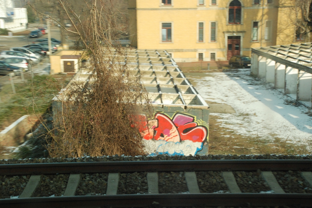 DSC_0727.JPG