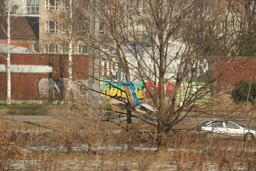 DSC_0729.JPG