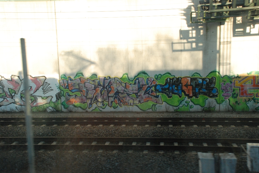 DSC_0731.JPG