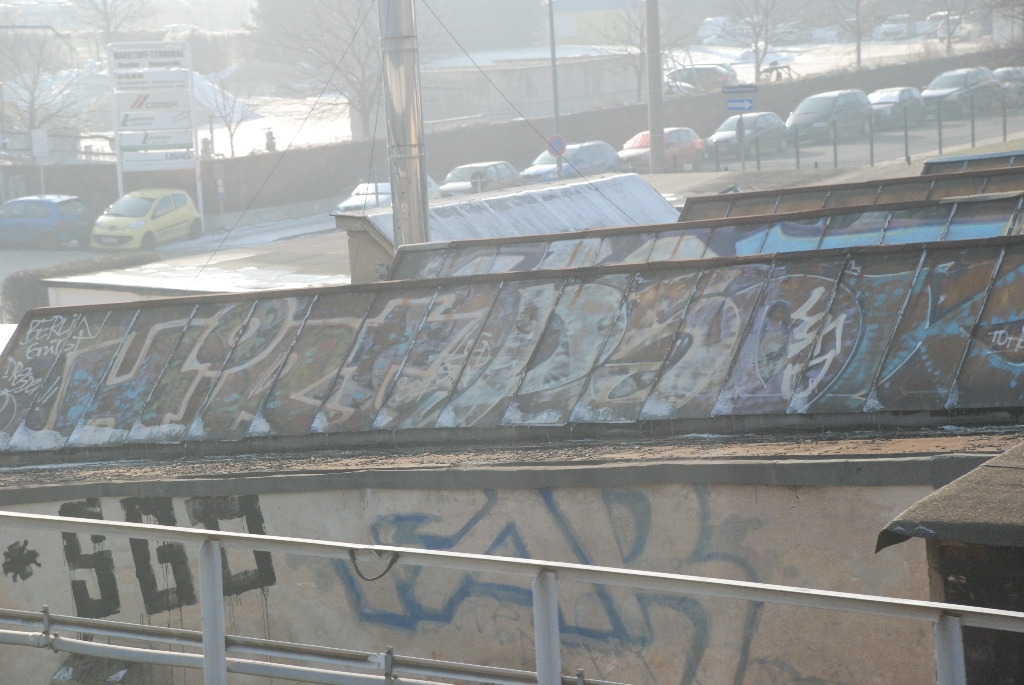 DSC_0733.JPG