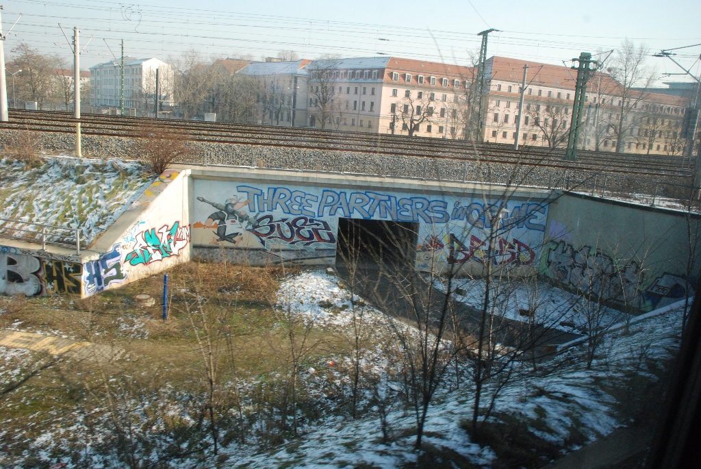 DSC_0734.JPG
