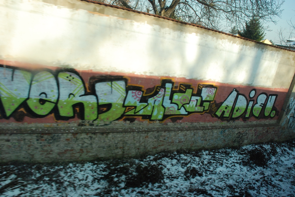 DSC_0750.JPG