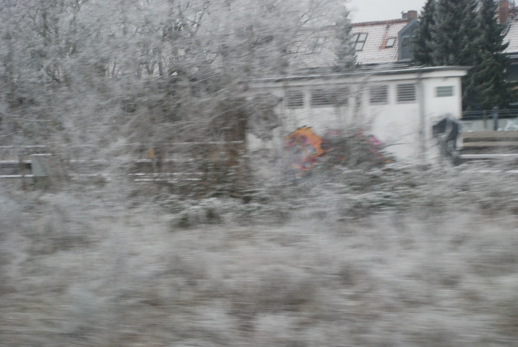 DSC_0761.JPG