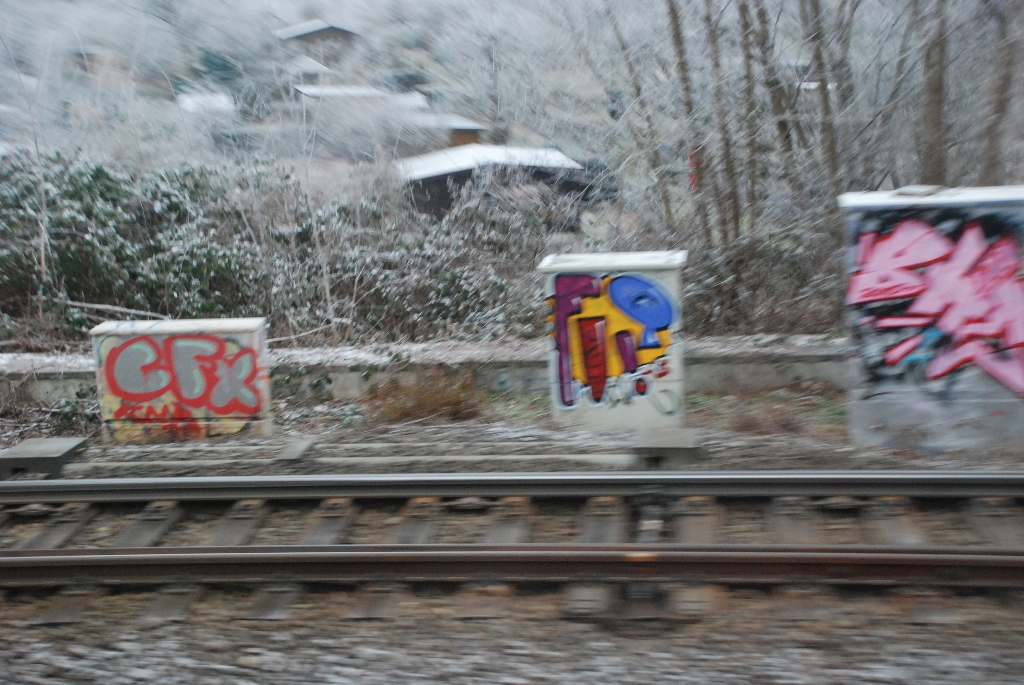 DSC_0762.JPG