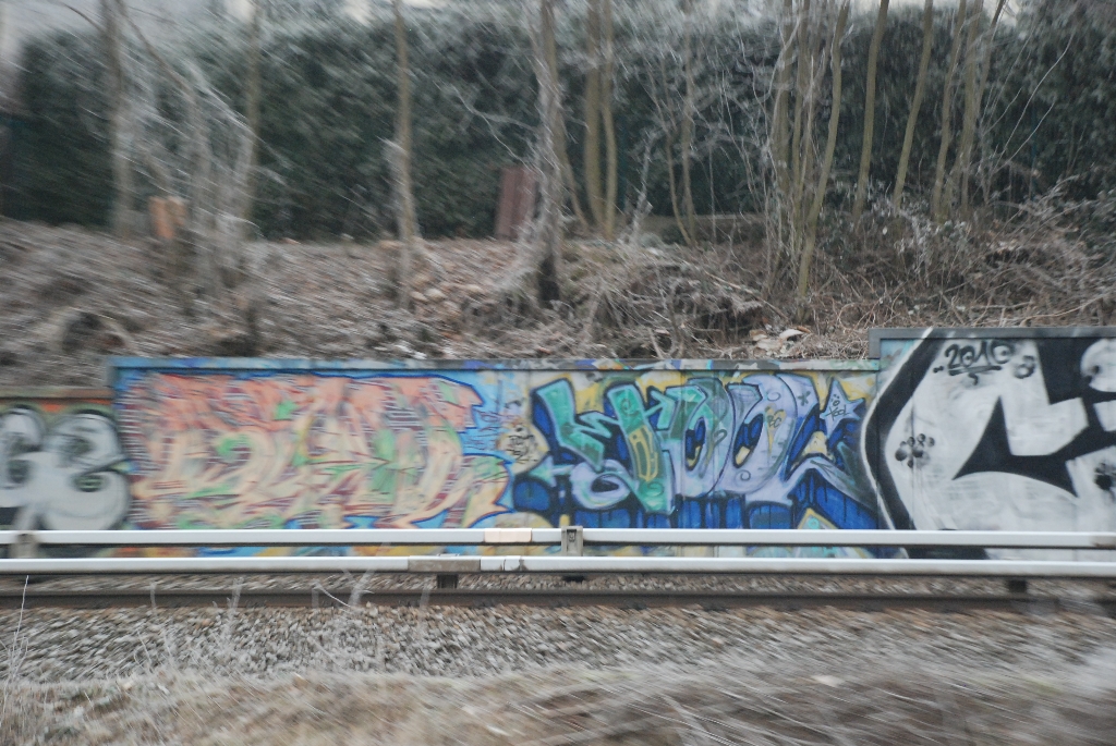 DSC_0764.JPG