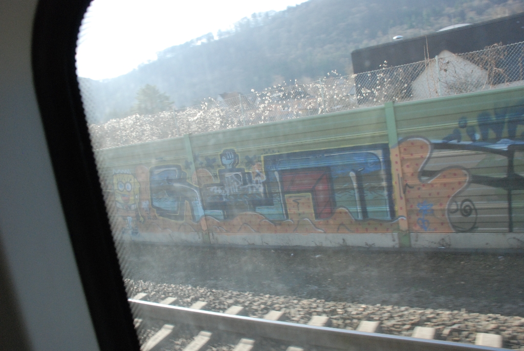 DSC_0890.JPG