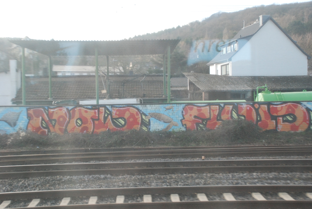 DSC_0898.JPG