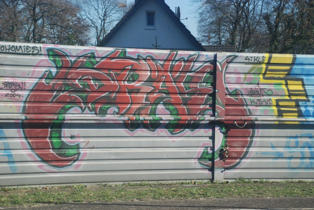 DSC_0936.JPG