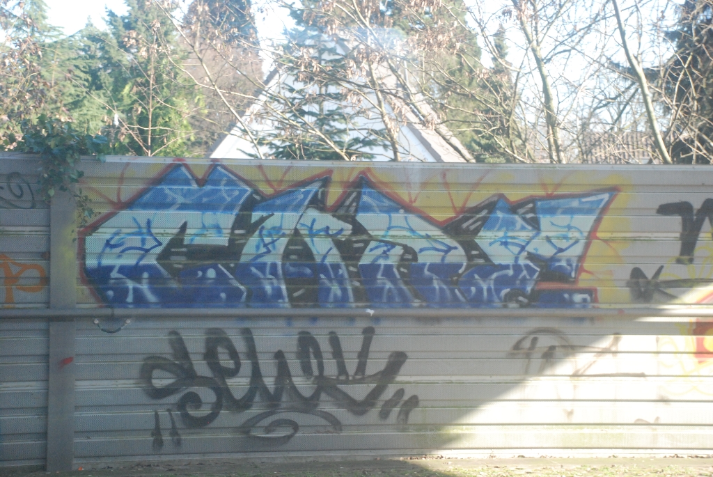 DSC_0937.JPG