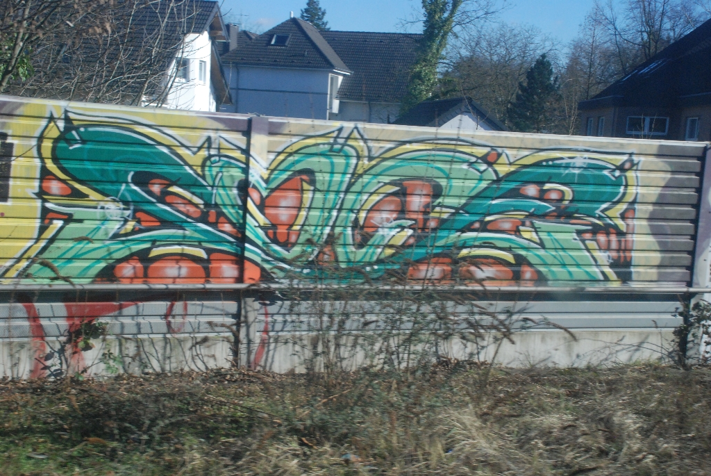 DSC_0938.JPG