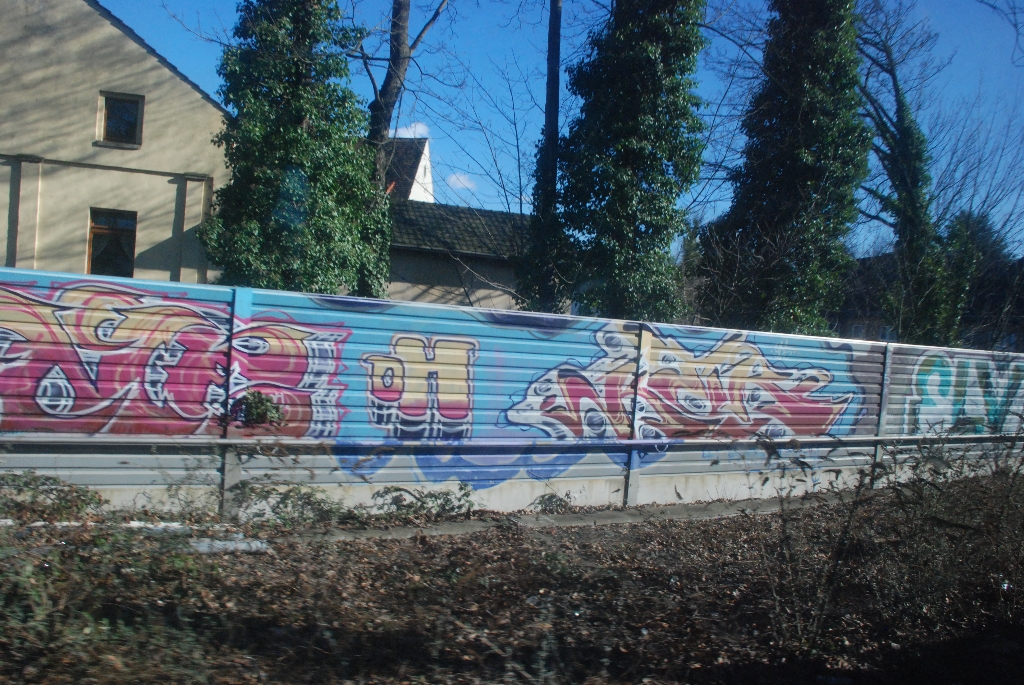 DSC_0939.JPG