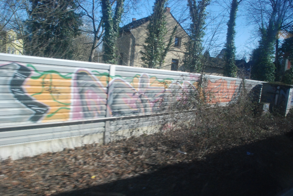 DSC_0940.JPG