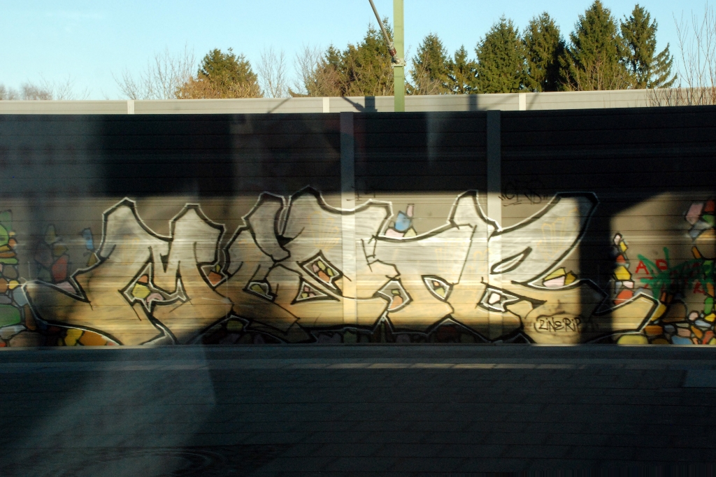 DSC_0695.JPG