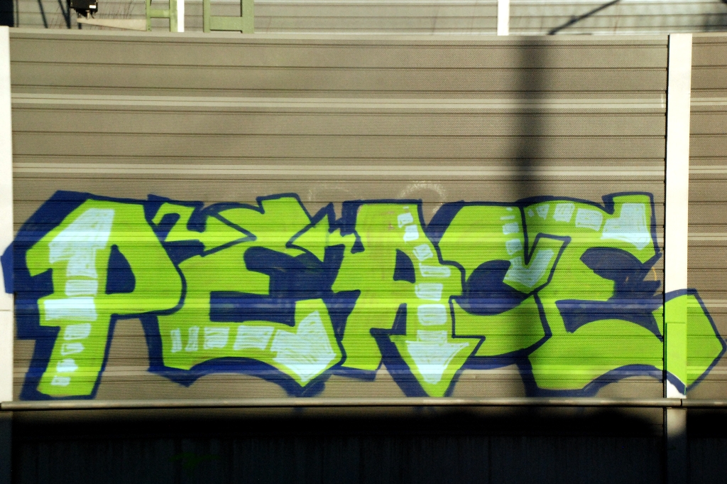 DSC_0696.JPG