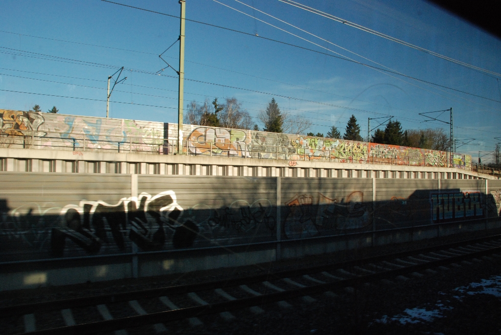 DSC_0701.JPG