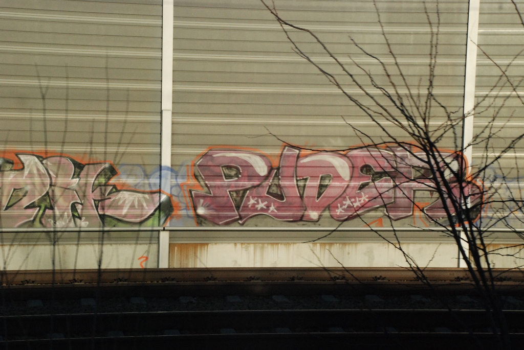 DSC_0703.JPG