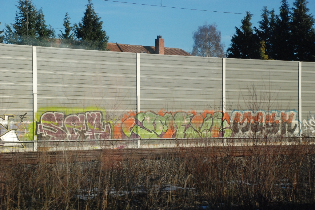 DSC_0705.JPG